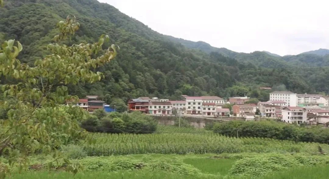 圖片 圖片