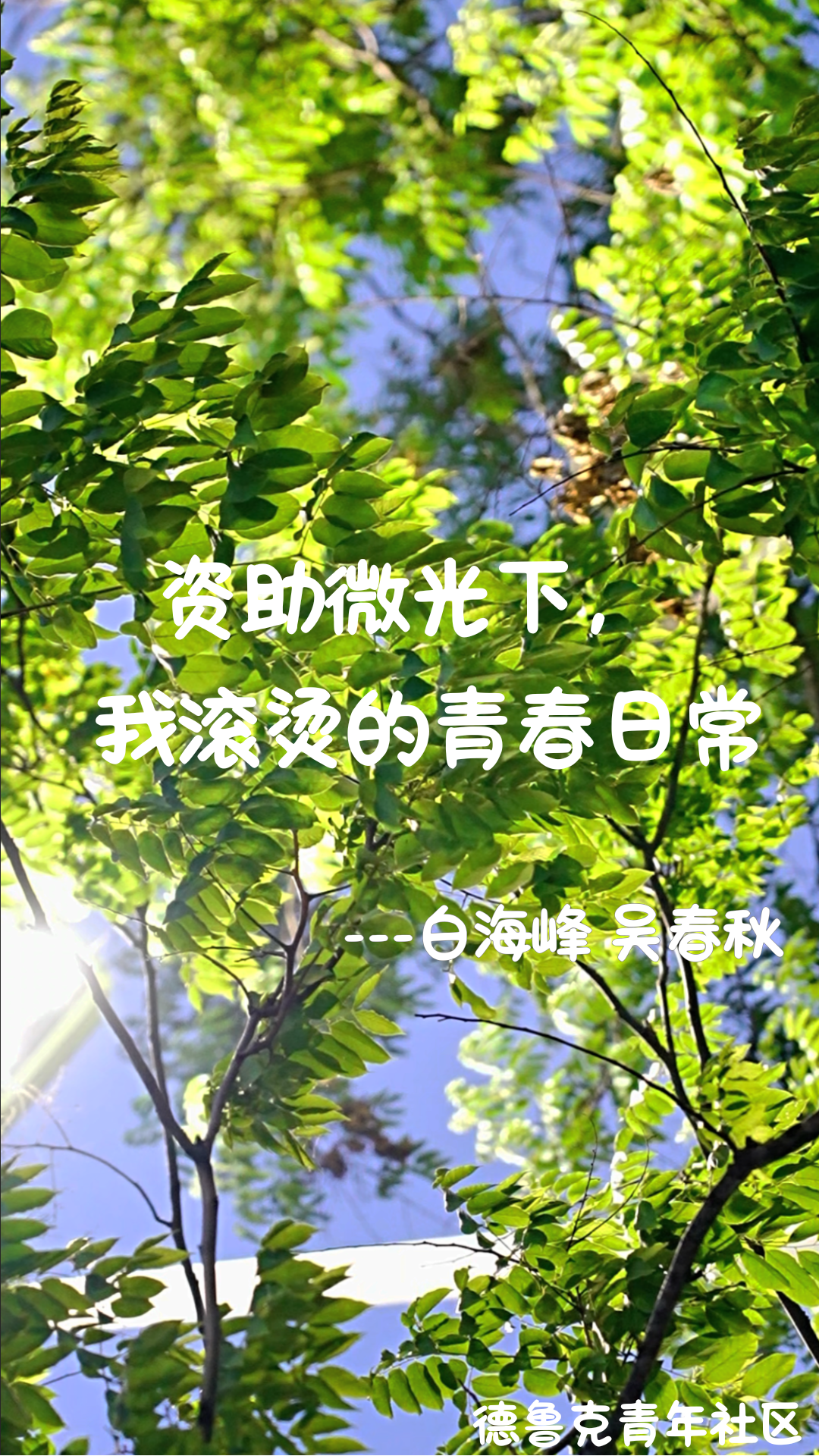圖片 圖片