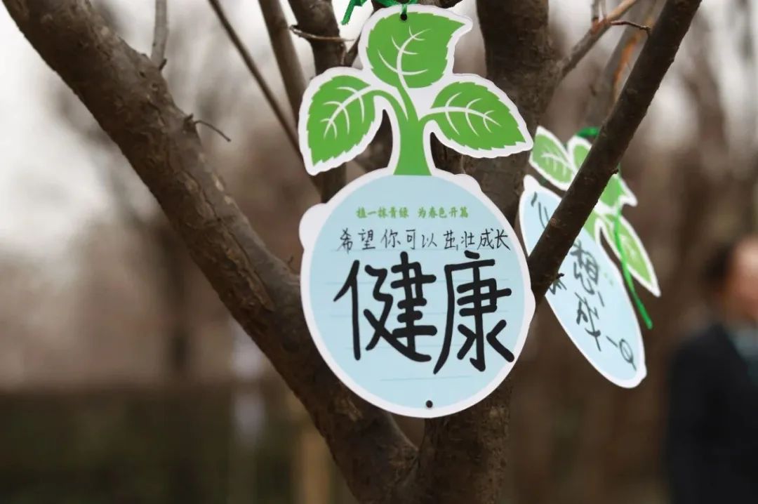 圖片 圖片
