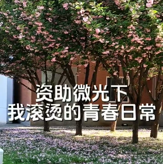 圖片 圖片