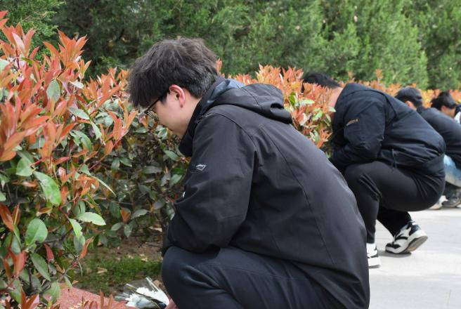 圖片 圖片