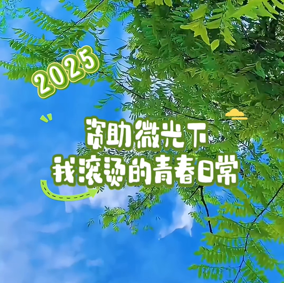 圖片 圖片