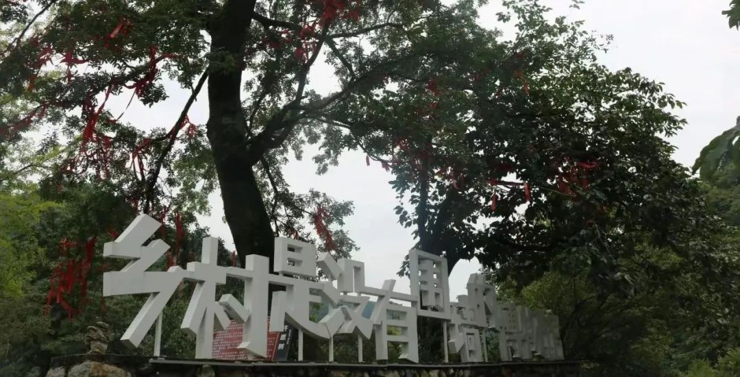 圖片 圖片